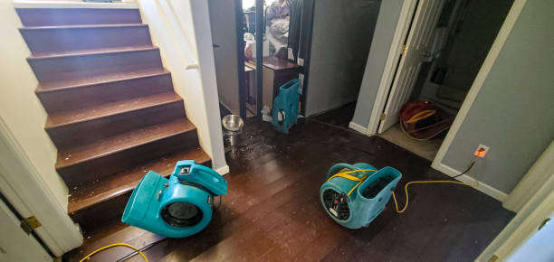 Best Sewage cleanup and water damage restoration  in North Westport, MA