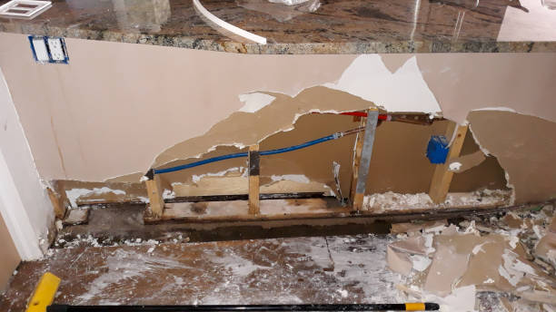 Best Mold removal after water damage  in North Westport, MA
