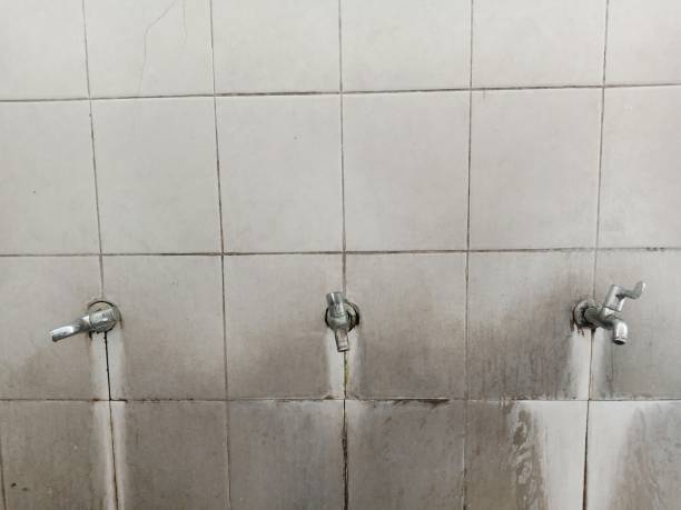 Best Water damage restoration near me  in North Westport, MA