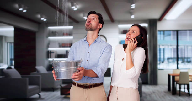 Best Ceiling water damage repair  in North Westport, MA
