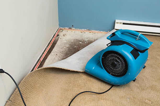Best Water damage cleanup near me  in North Westport, MA